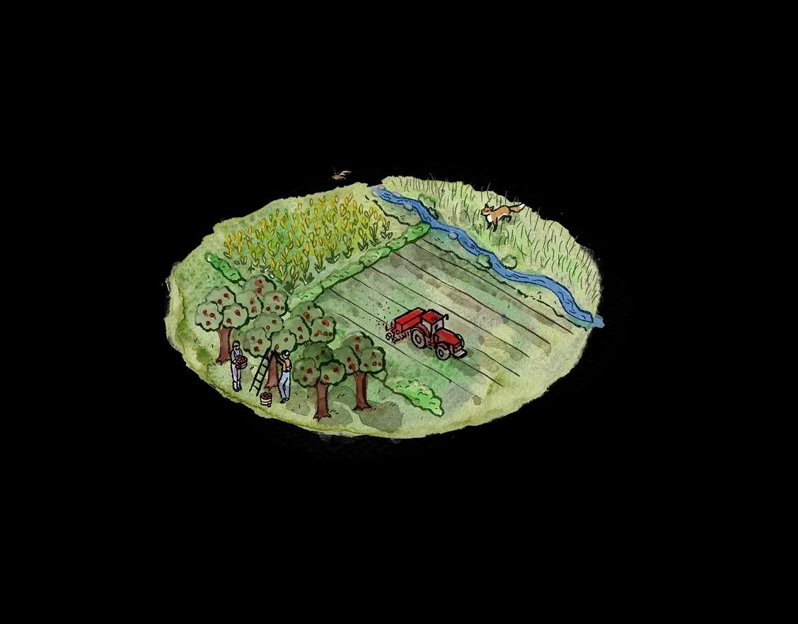 Illustration agriculture