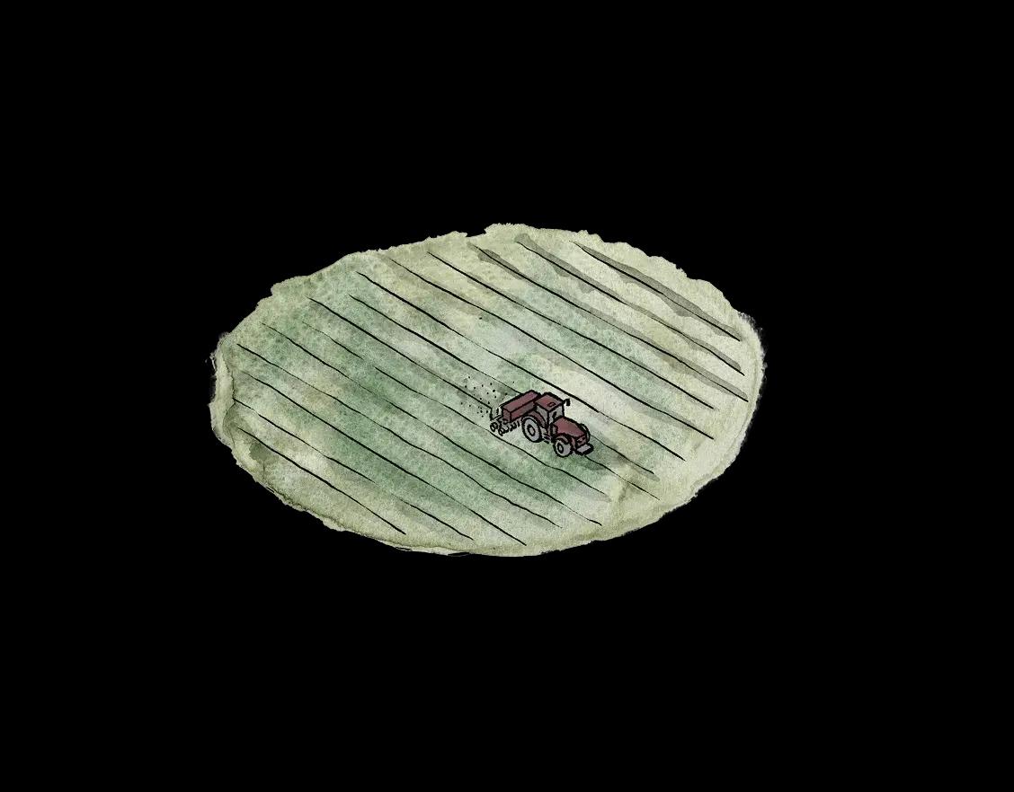 Illustration agriculture