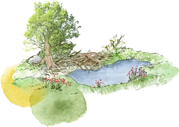 Illustration d'une oasis avec des illustrations aquarelle abstraites